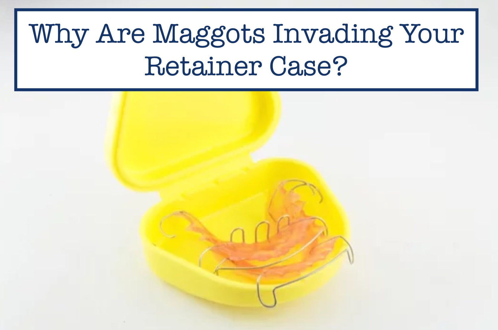 Why Are Maggots Invading Your Retainer Case?