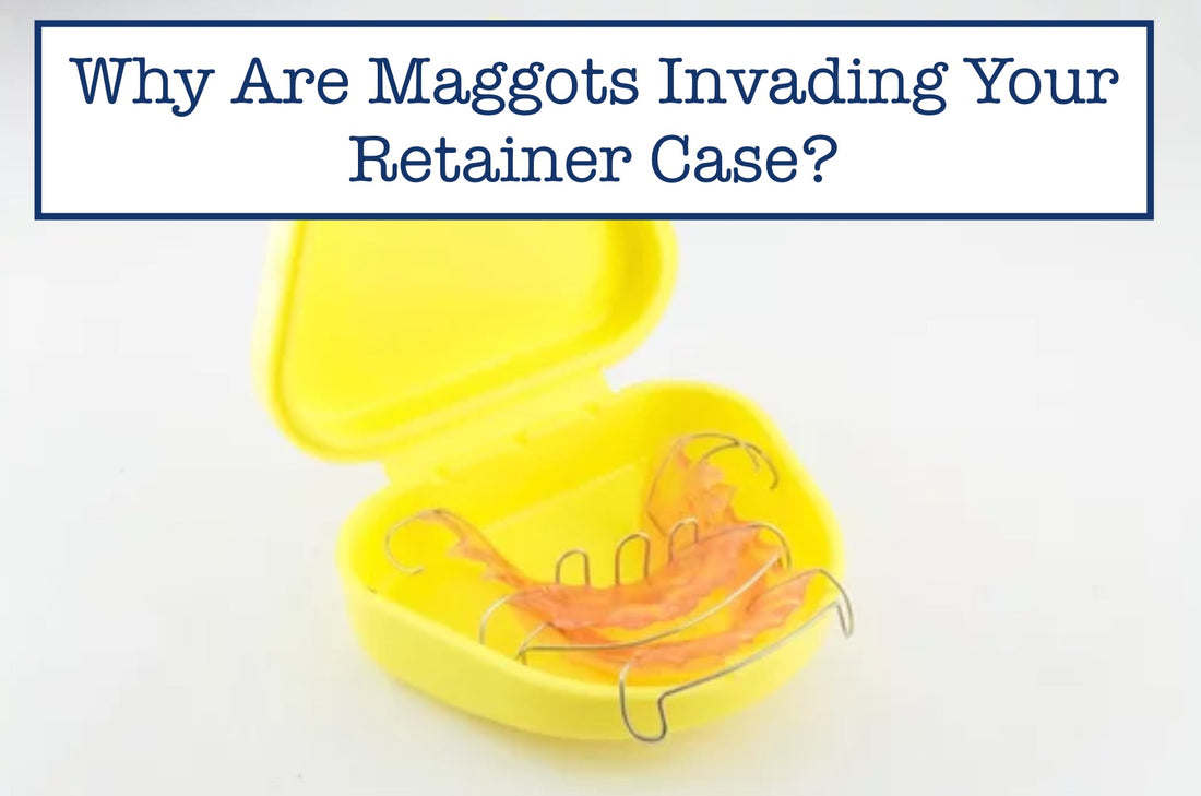 Maggots in Retainer Case