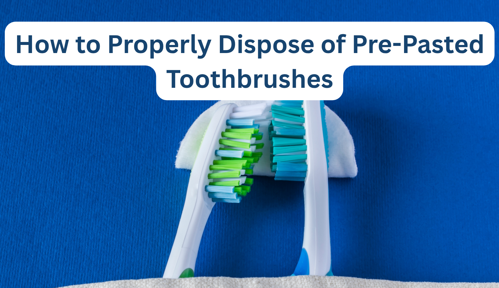 How to Properly Dispose of Pre-Pasted Toothbrushes – B.WEISS Health