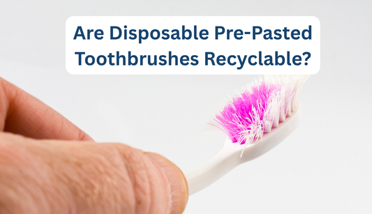 Disposable Pre-Pasted Toothbrushes