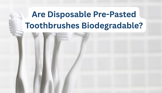 Disposable Pre-Pasted Toothbrushes