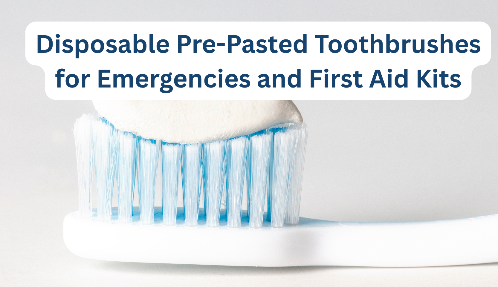 Paramedic Toothpaste Disposable Pre-Pasted Toothbrushes for Emergencies and First Aid Kits ...