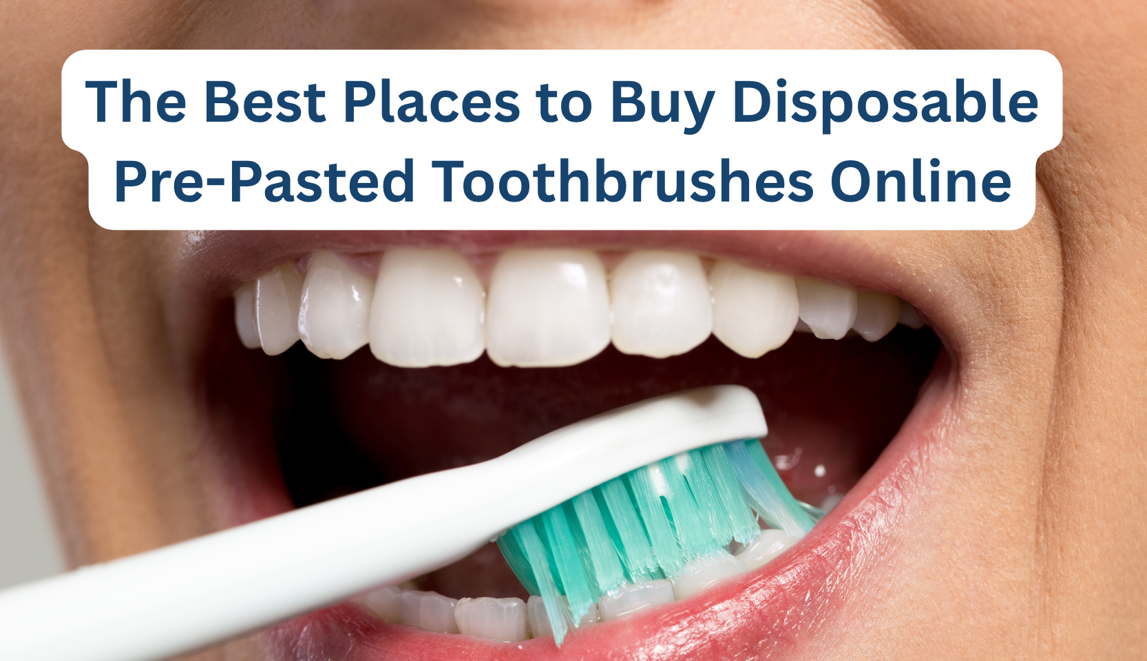 The Best Places to Buy Disposable Pre-Pasted Toothbrushes Online – B ...