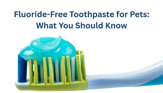 Fluoride-Free Toothpaste