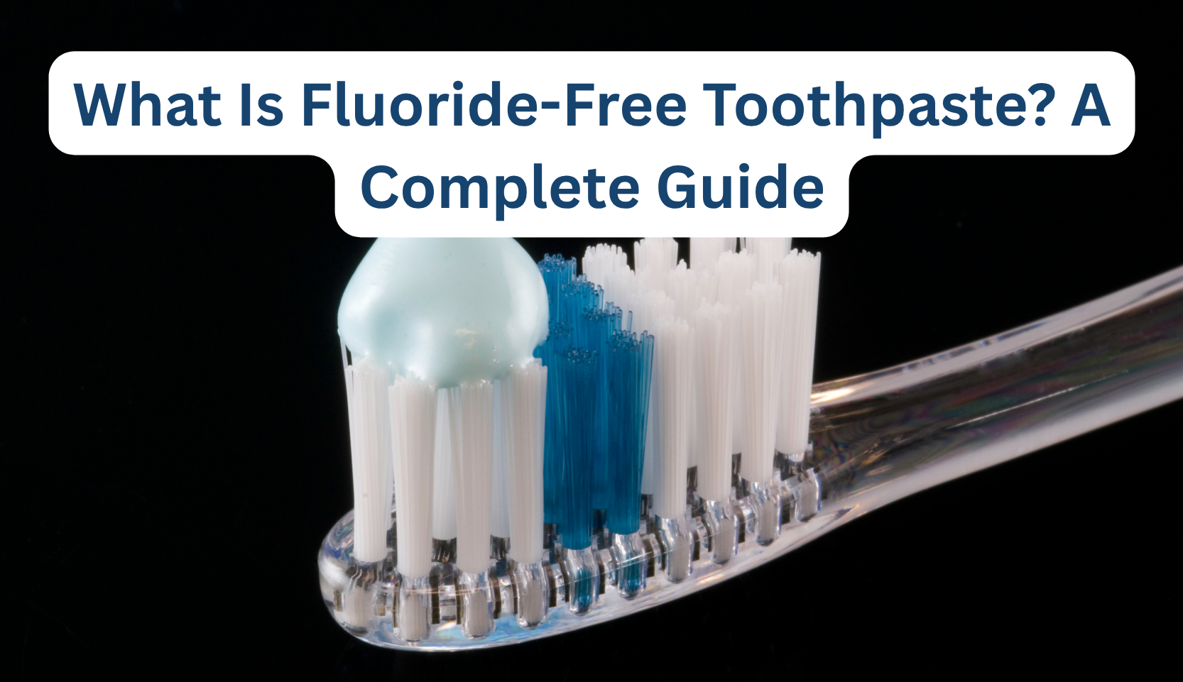 Flo Rite Free Toothpaste What Is Fluoride-Free Toothpaste? A Complete Guide – B.WEISS Health
