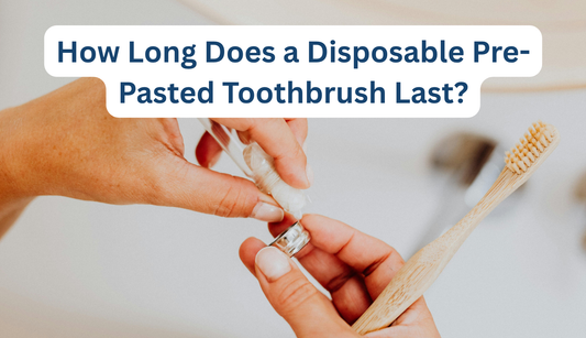 Disposable Pre-Pasted Toothbrush